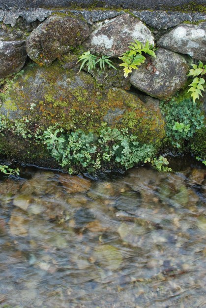 irriguation irriguation