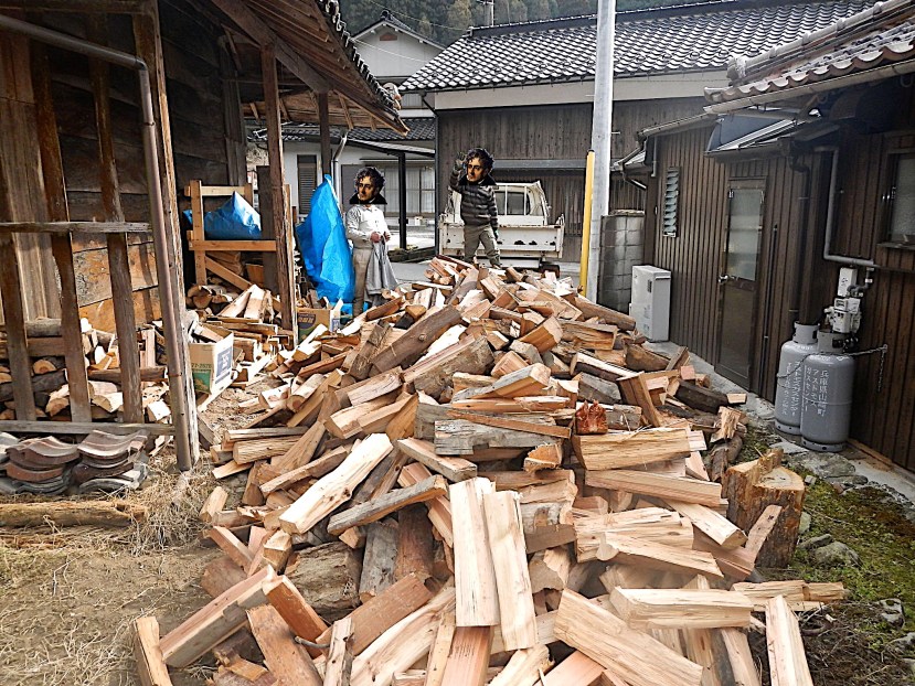 DSCN1035 le tas de bois (1)