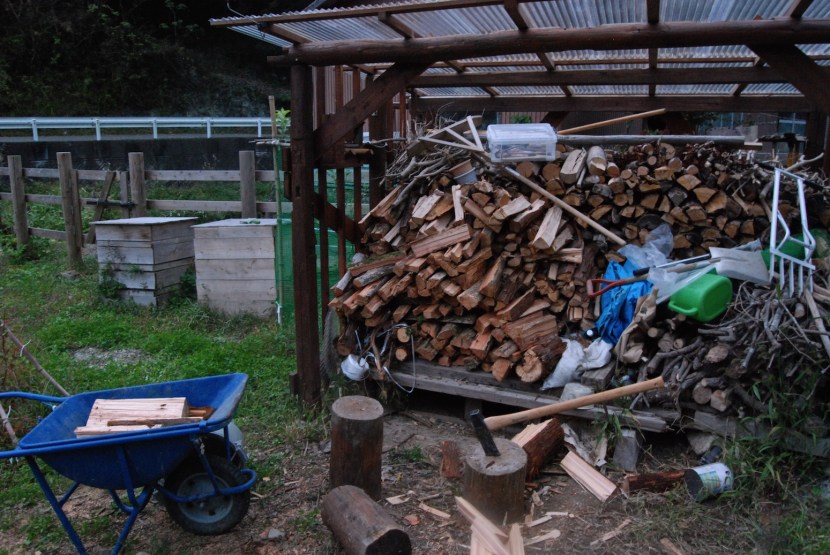 on fend ensuite les bûches; pour le chauffage cet hiver.