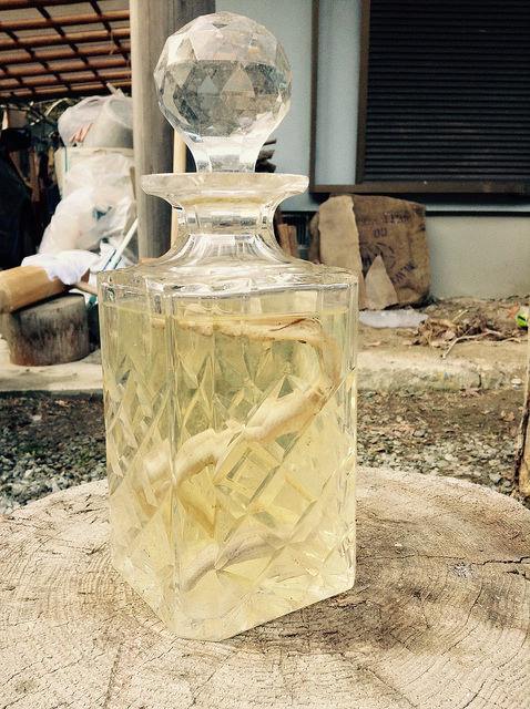 15525912133_f7b6e48eb9_z