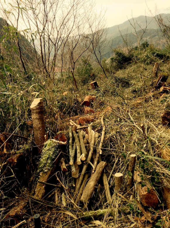 15967339138_718b96328d_o