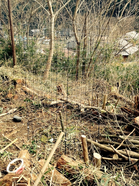 15967342468_f4204a5d18_o