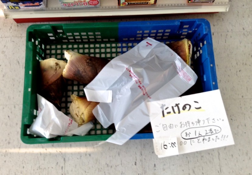 pousse de bambou dans une superette