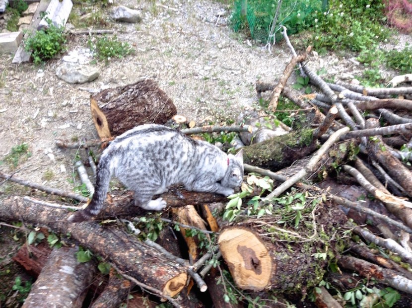 excellent pour se faire les griffes