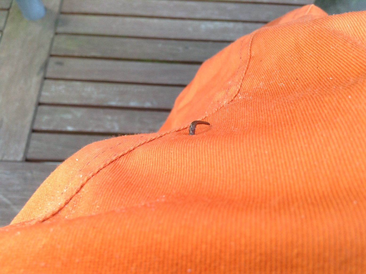 sangsue sur salopette