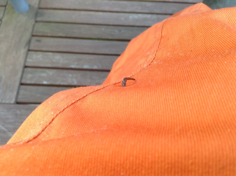 sangsue sur salopette