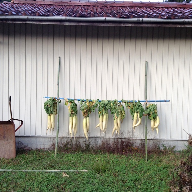 20 11 2015 promenade 3 (1)