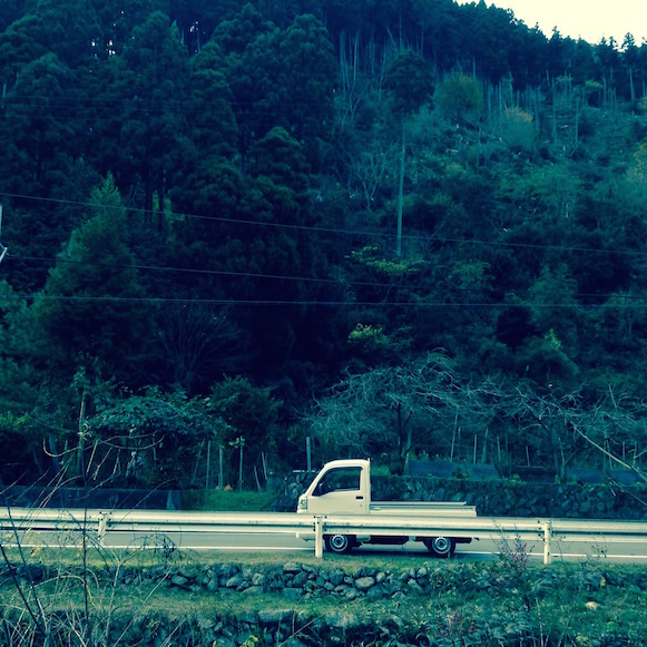 20 11 2015 promenade 4 (1)