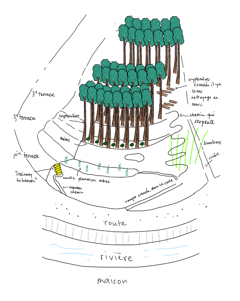 le plan de la montagne