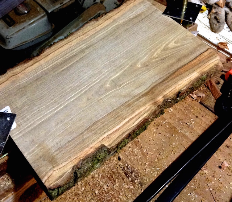 marronnier 2cdf09bf0e9_k