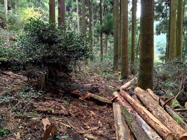 nettoyage de la montagne