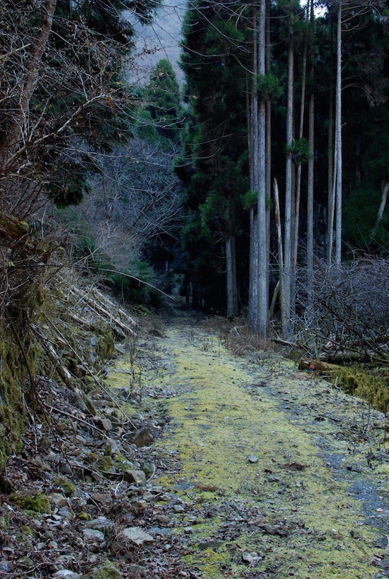 balade 160116 DSC_2079