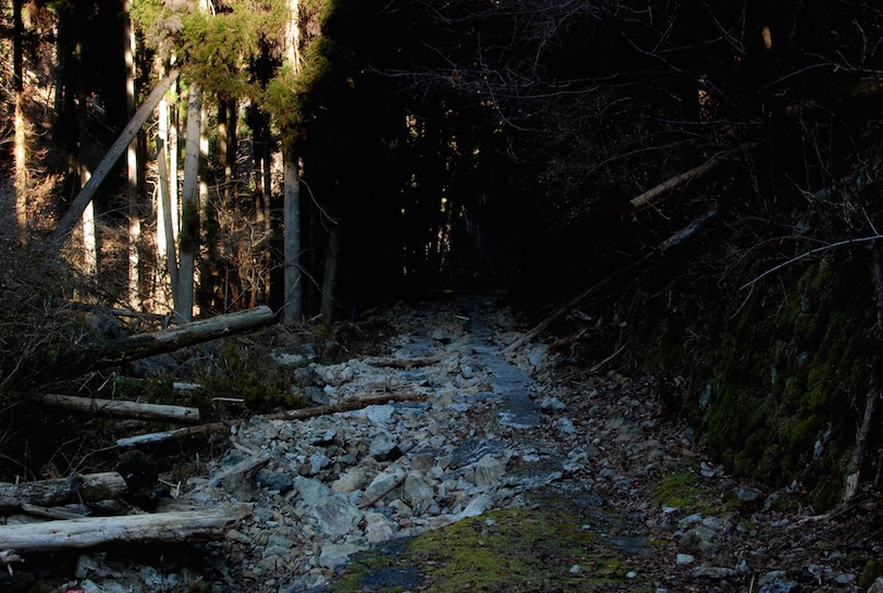 balade 160116 DSC_2080