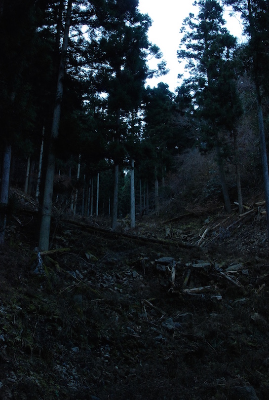 balade 160116 DSC_2083