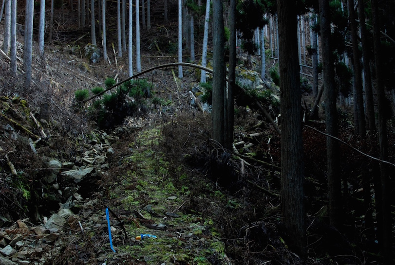 balade 160116 DSC_2088