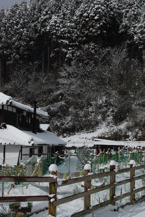 première neige DSC_2125
