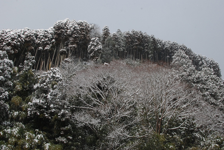 première neige DSC_2127