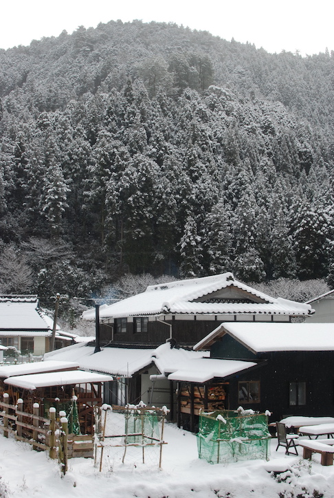 première neige DSC_2136