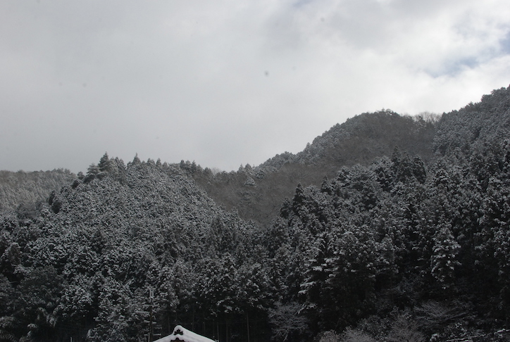 première neige DSC_2139
