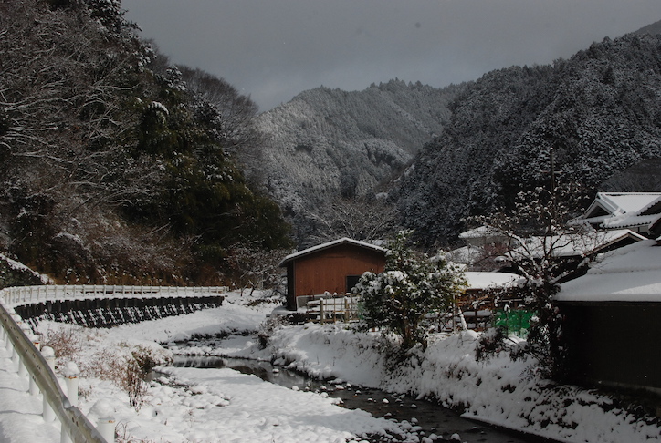 première neige DSC_2140
