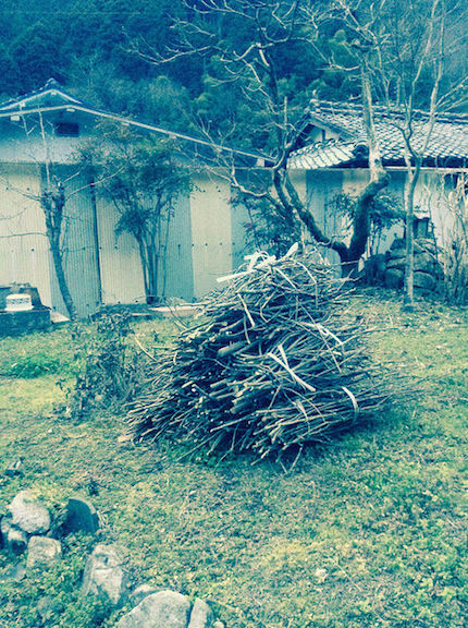 préparations pour le tondo