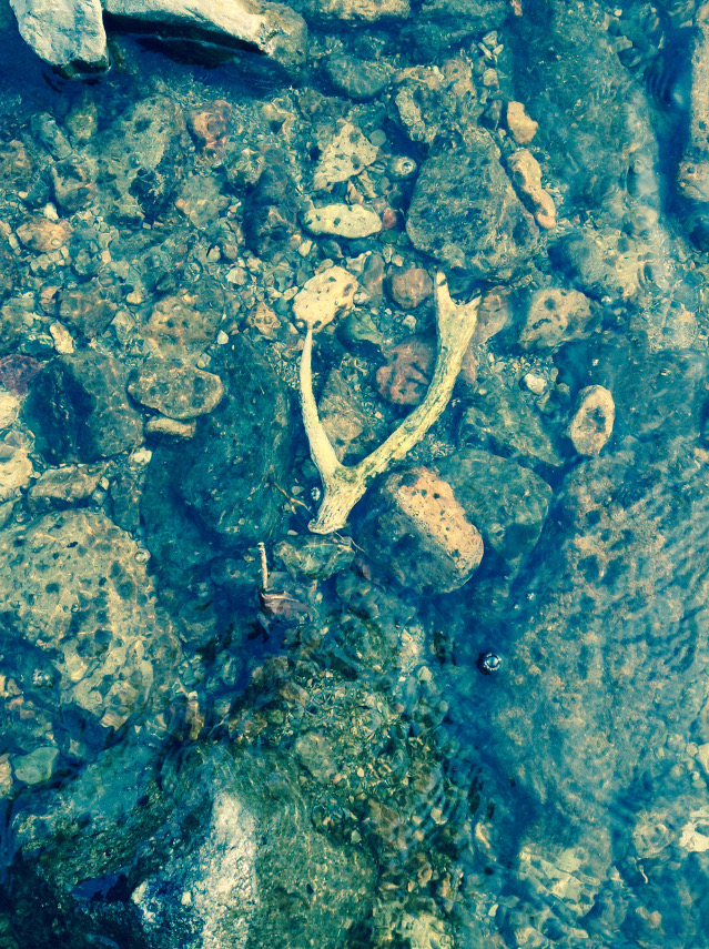 retour campagne 24813489532_o