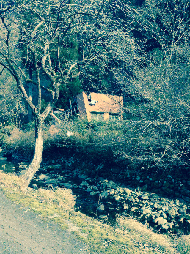 retour campagne 25034336065_o