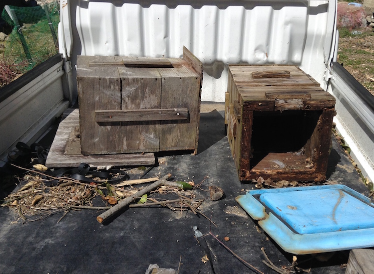 ruche 1 25829297202_b11cbb150b_o