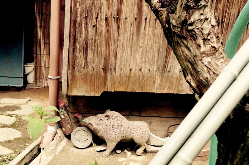 avril 2016 image_25699764864_o