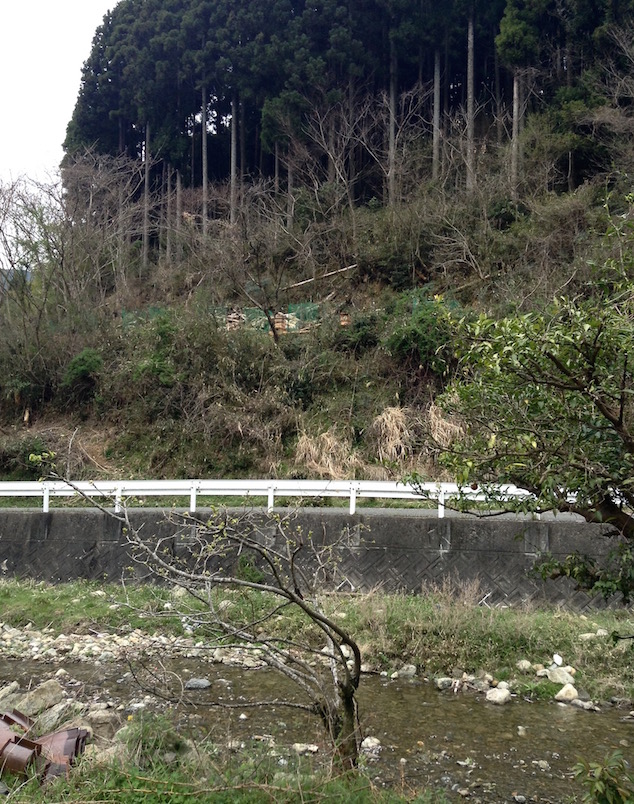 cafe dimanche_25731134504_o