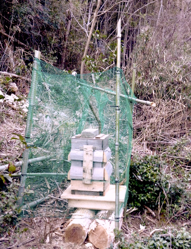 ruches 26158439686_o