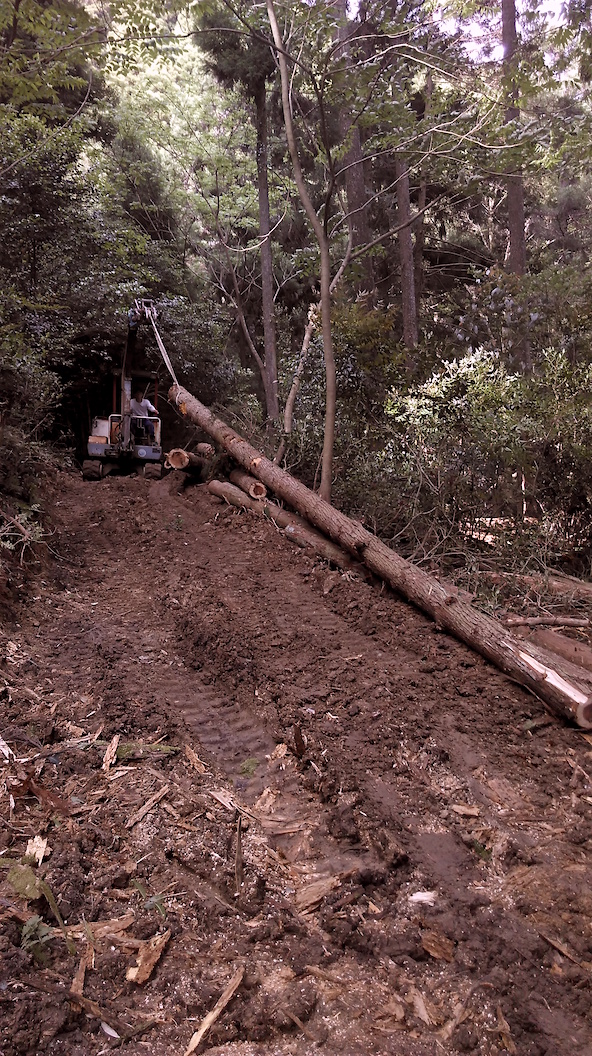 montagne 20 IMAG0110