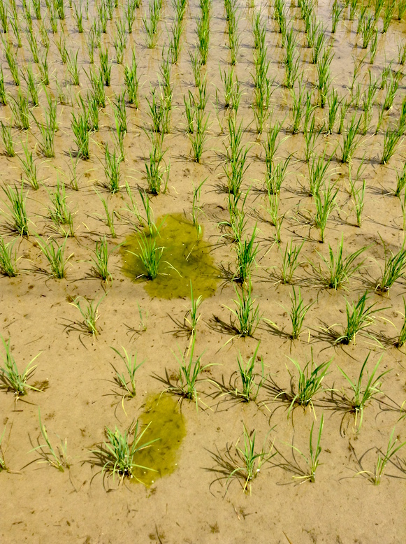 projet 27766333545_36a2682446_o