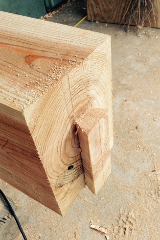 ari image_27908645973_o