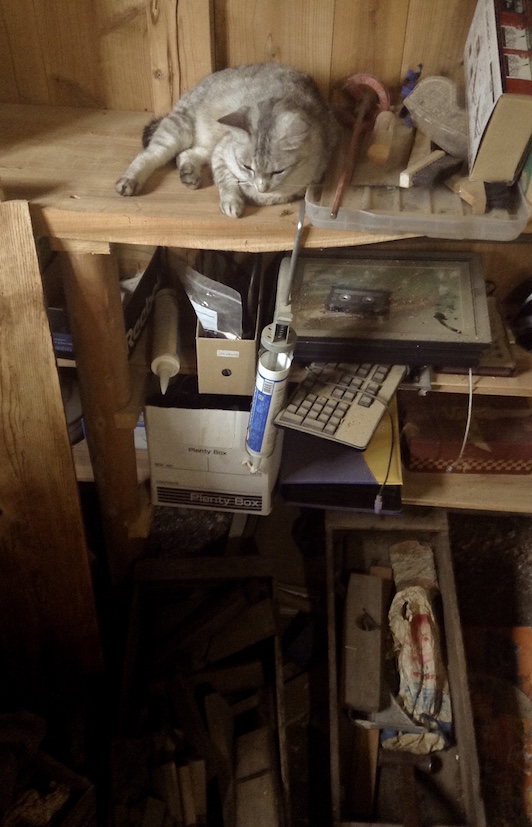 dimanche_27774773480_o