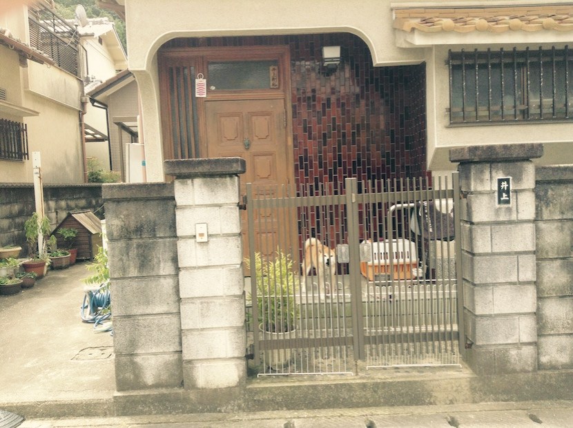 setonaikai_27869014324_o