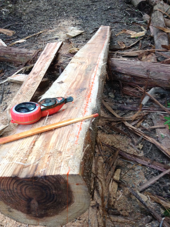 bisrepet_28447231533_o