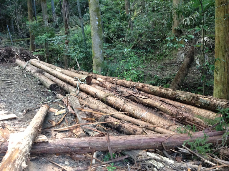 bisrepet_28447233723_o