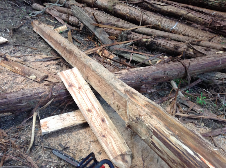 bisrepet_28447235303_o