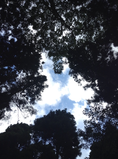 bisrepet_28778736510_o