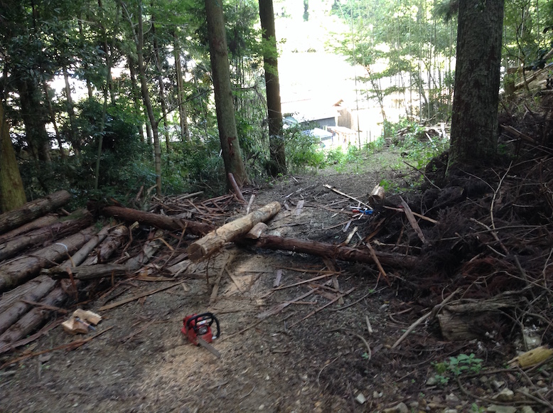 bisrepet_29065007025_o