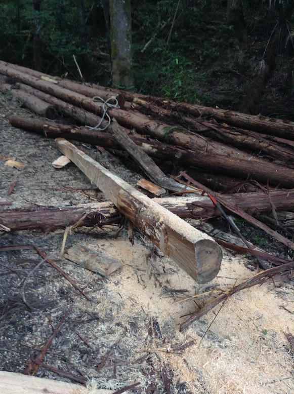 experimentation_28853796971_o