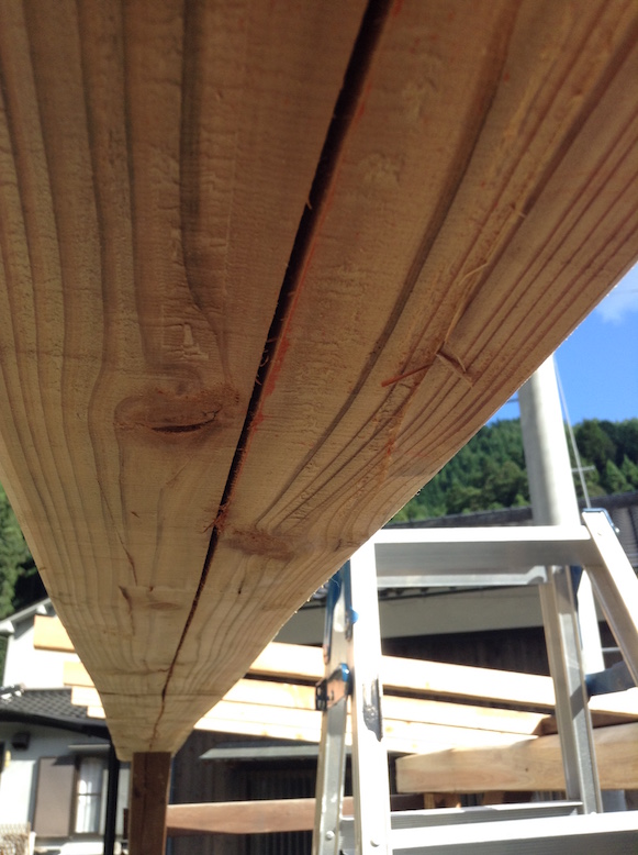 petit abri_28553696354_o