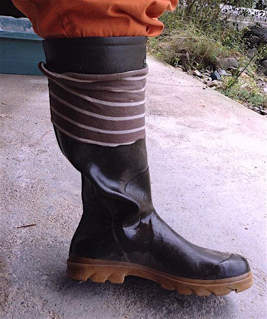 sangsue_30211072572_o