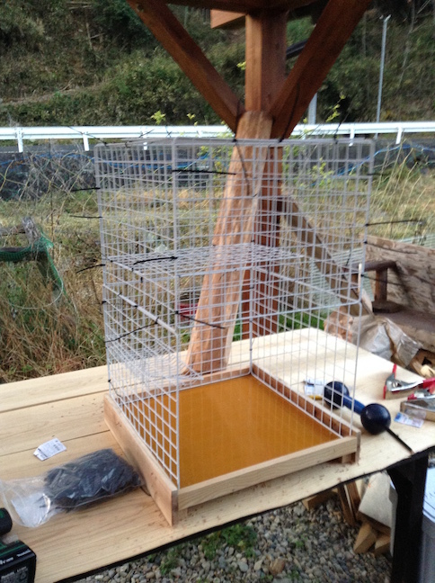 scotch_30685003664_o