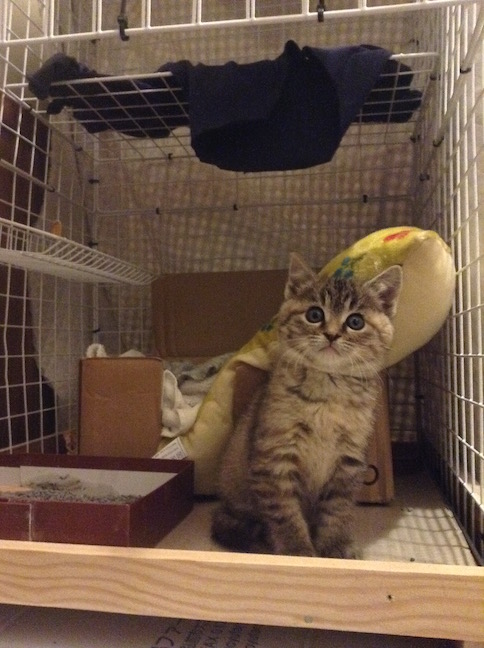 scotch_31558915096_o