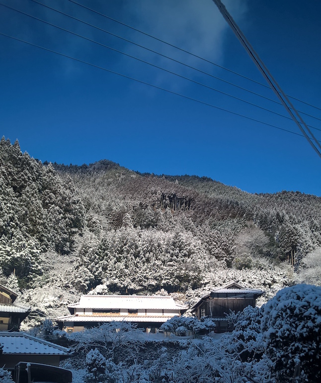 wp_20170212_09_11_36_pro