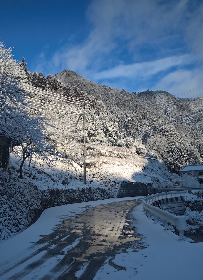 wp_20170212_09_13_03_pro