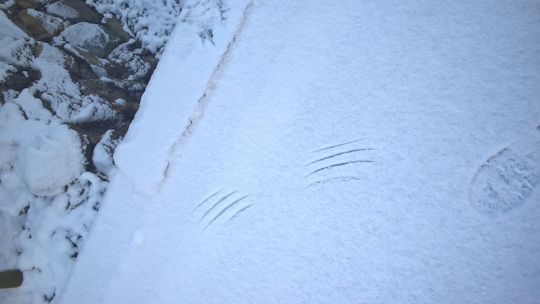 wp_20170212_09_15_16_pro