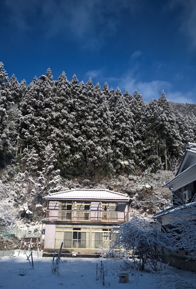 wp_20170212_09_15_39_pro